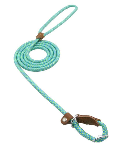 Dog Leash