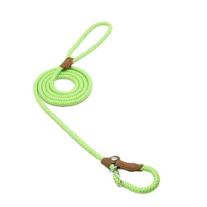 Dog Leash