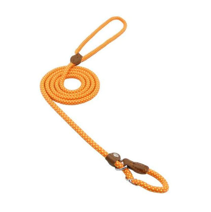 Dog Leash