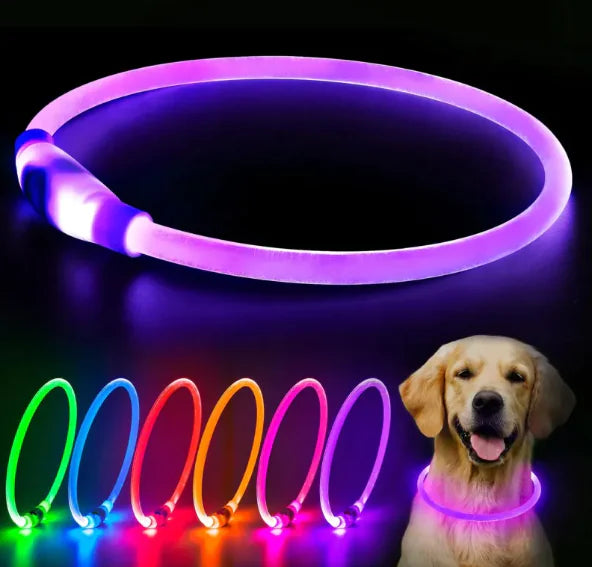 LED Rechargeable Dog Collar NovaLuxShop