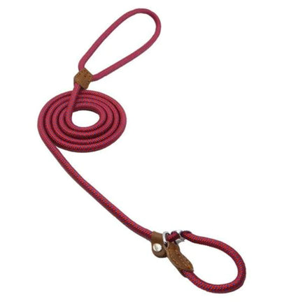 Dog Leash