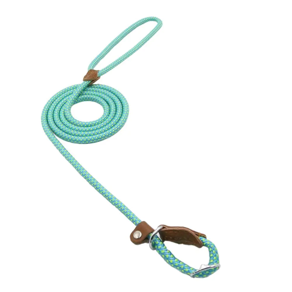Dog Leash