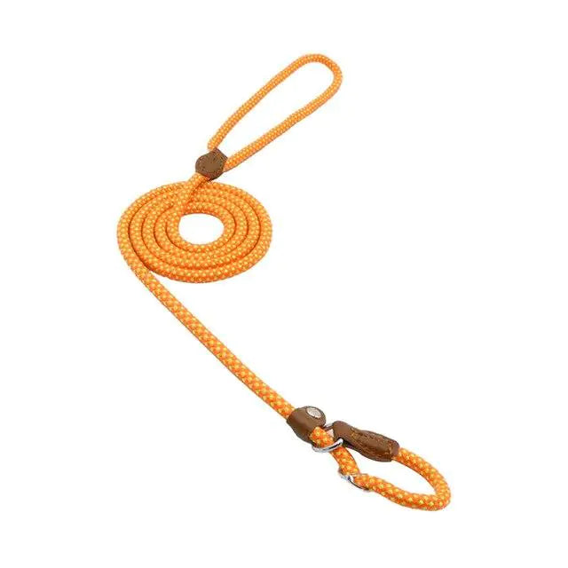 Dog Leash