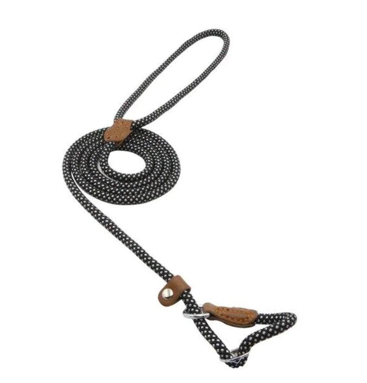 Dog Leash