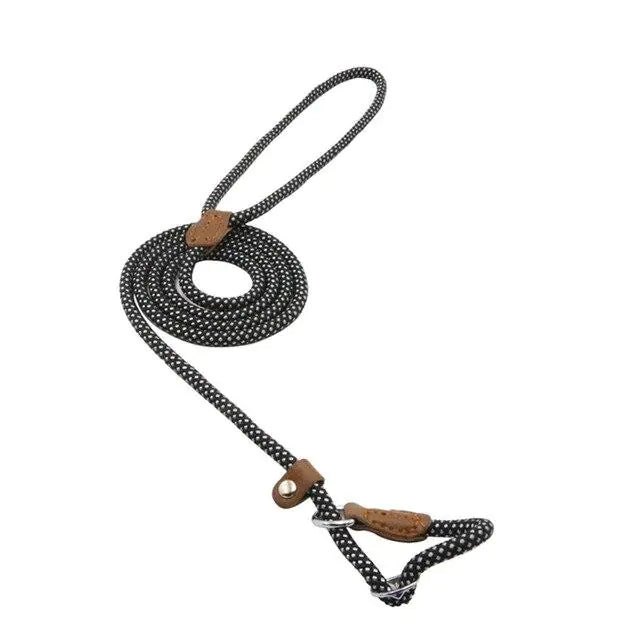 Dog Leash
